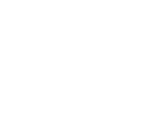 pingflow