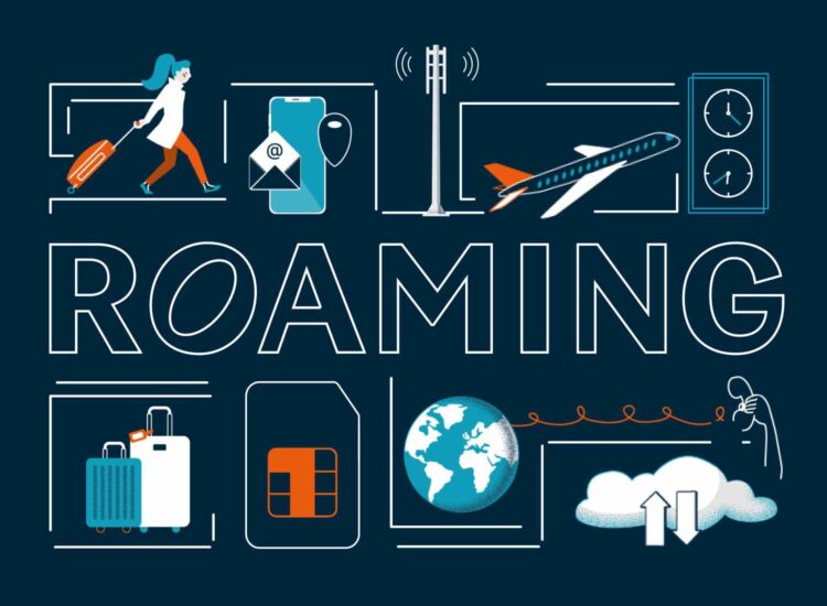 lmb infographie roaming 750×550@2x (1)